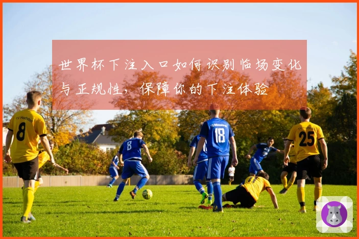 世界杯下注入口如何识别临场变化与正规性，保障你的下注体验