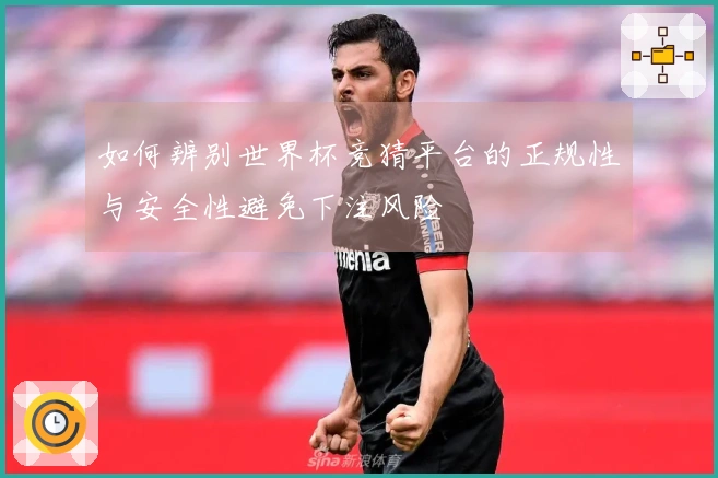 如何辨别世界杯竞猜平台的正规性与安全性避免下注风险