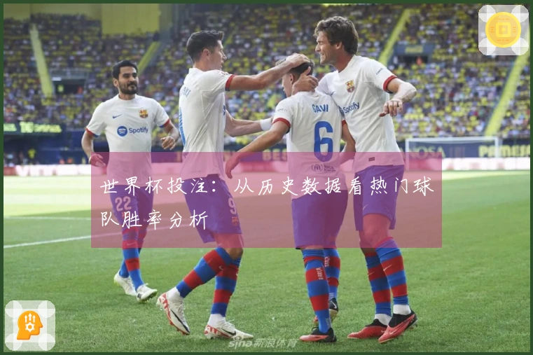 世界杯投注：从历史数据看热门球队胜率分析