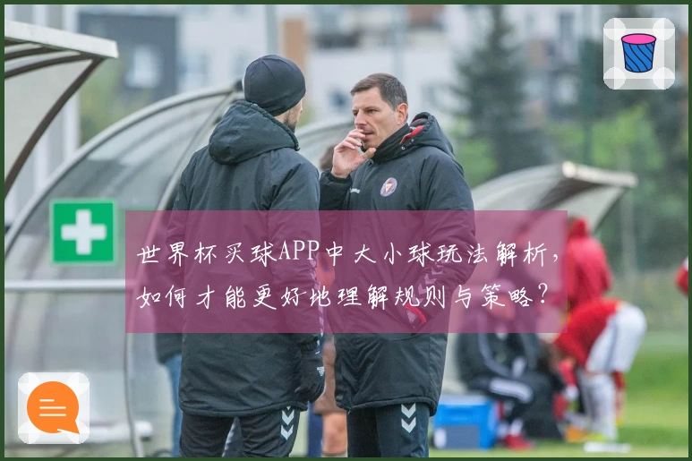 世界杯买球APP中大小球玩法解析,如何才能更好地理解规则与策略?