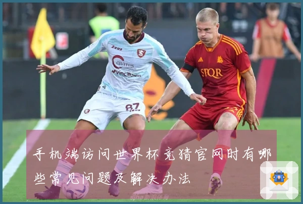 手机端访问世界杯竞猜官网时有哪些常见问题及解决办法