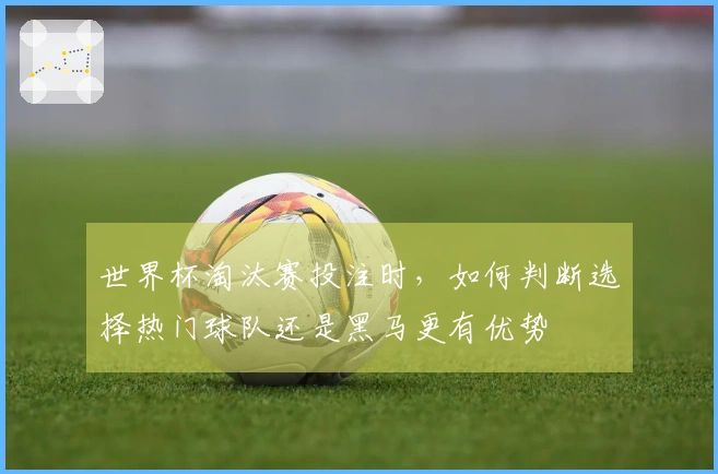 世界杯淘汰赛投注时，如何判断选择热门球队还是黑马更有优势