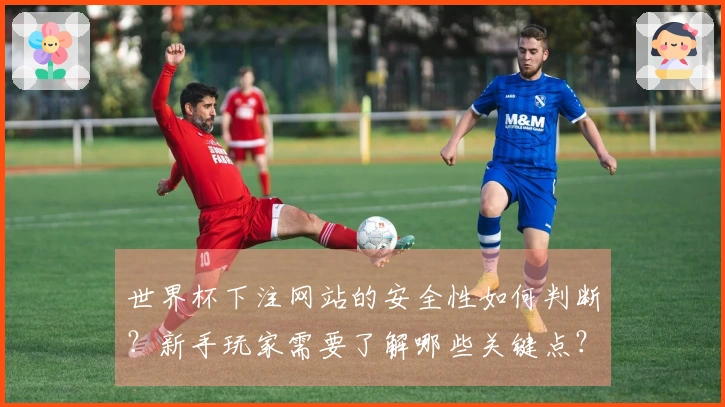 世界杯下注网站的安全性如何判断？新手玩家需要了解哪些关键点？