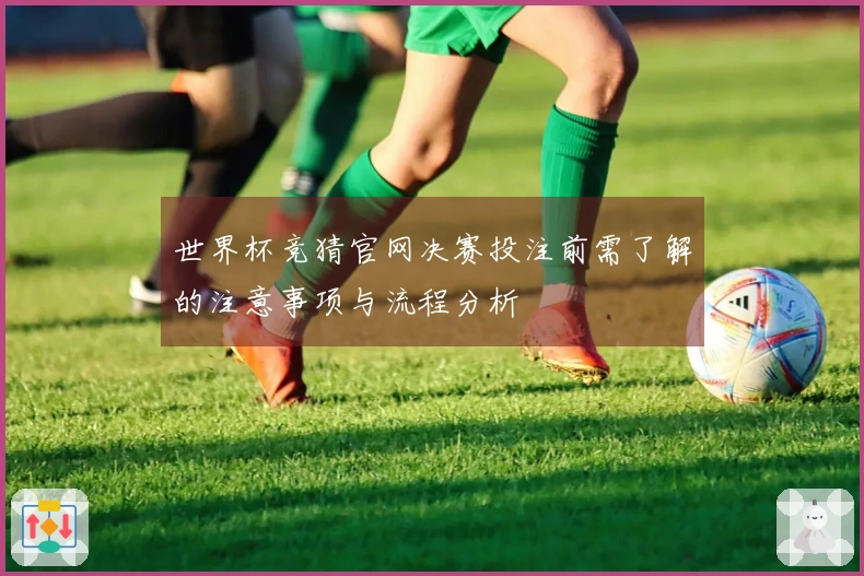 世界杯竞猜官网决赛投注前需了解的注意事项与流程分析