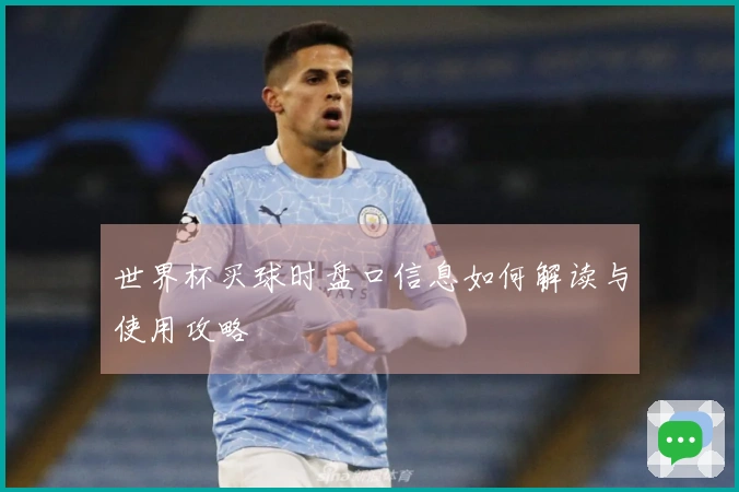 世界杯买球时盘口信息如何解读与使用攻略