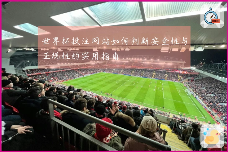 世界杯投注网站如何判断安全性与正规性的实用指南