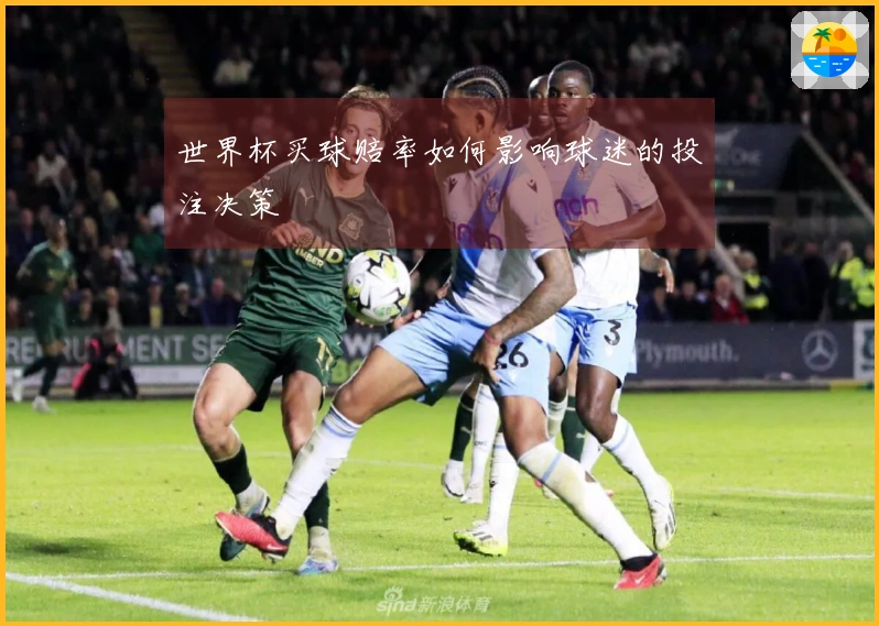 世界杯买球赔率如何影响球迷的投注决策