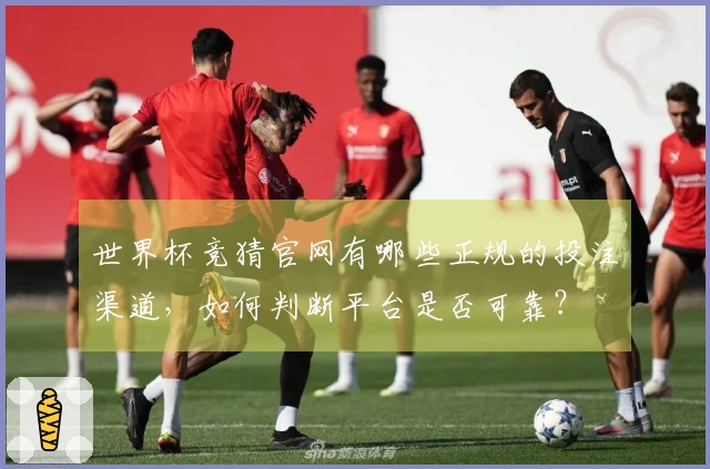 世界杯竞猜官网有哪些正规的投注渠道，如何判断平台是否可靠？
