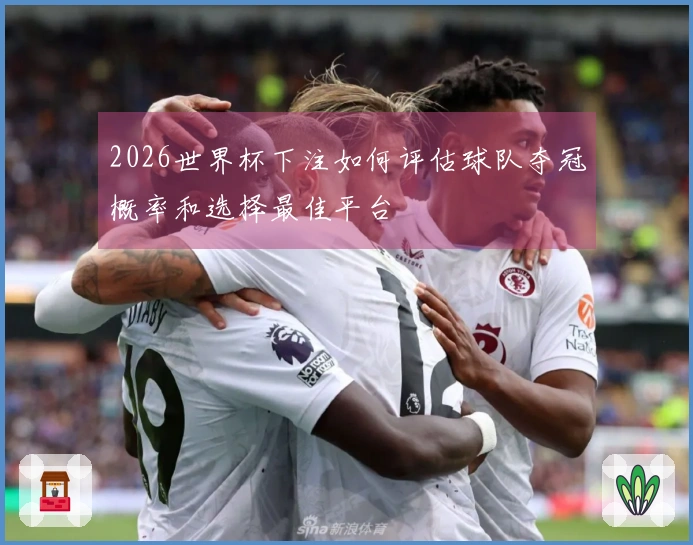 2026世界杯下注如何评估球队夺冠概率和选择最佳平台