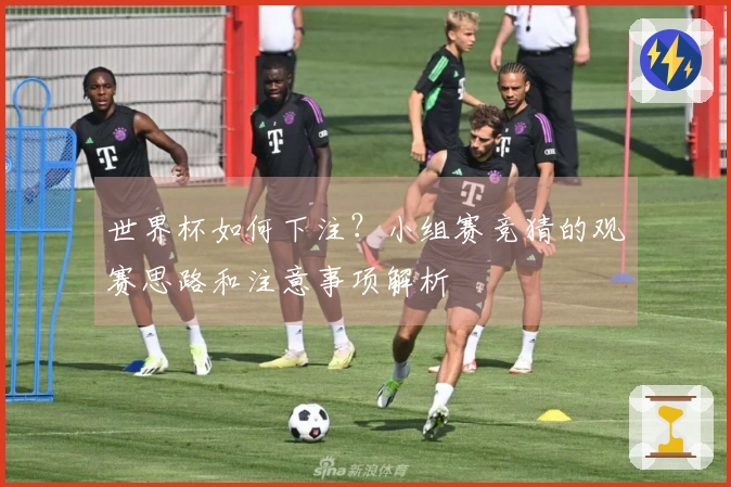 世界杯如何下注？小组赛竞猜的观赛思路和注意事项解析