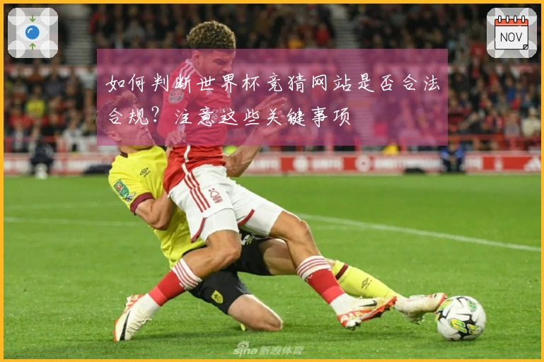 如何判断世界杯竞猜网站是否合法合规?注意这些关键事项