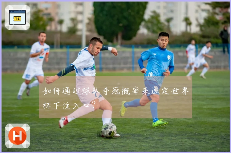 如何通过球队夺冠概率来选定世界杯下注入口？