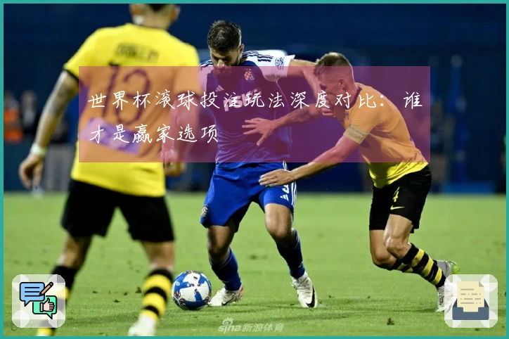 世界杯滚球投注玩法深度对比:谁才是赢家选项