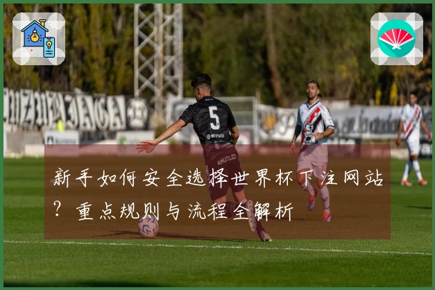新手如何安全选择世界杯下注网站？重点规则与流程全解析