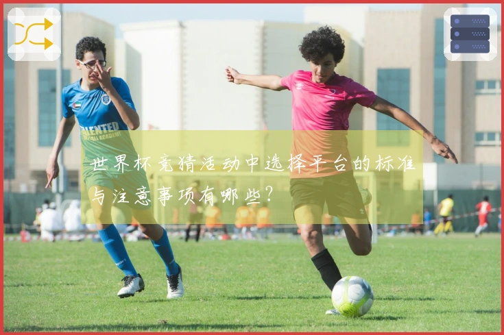 世界杯竞猜活动中选择平台的标准与注意事项有哪些?