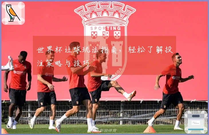 世界杯让球玩法指南，轻松了解投注策略与技巧