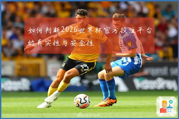 如何判断2026世界杯官方投注平台的真实性与安全性