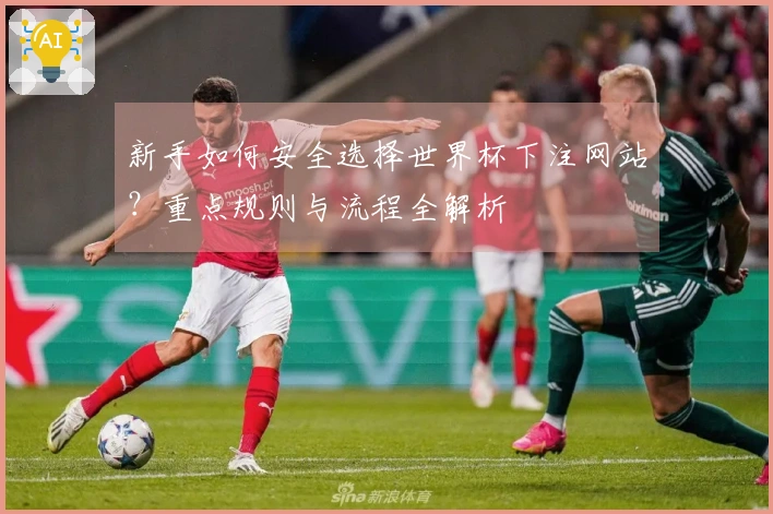 新手如何安全选择世界杯下注网站？重点规则与流程全解析