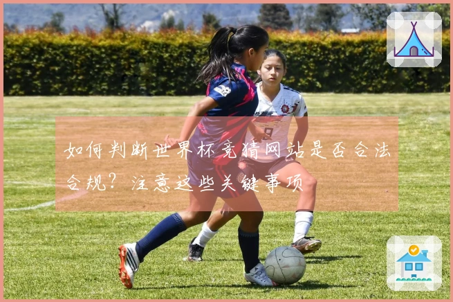 如何判断世界杯竞猜网站是否合法合规？注意这些关键事项