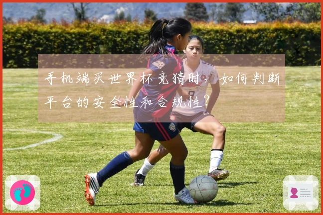 手机端买世界杯竞猜时，如何判断平台的安全性和合规性？