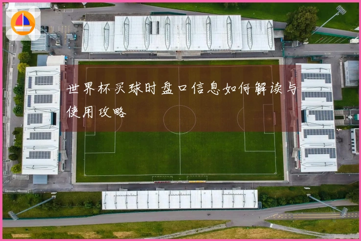 世界杯买球时盘口信息如何解读与使用攻略
