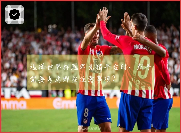 选择世界杯冠军竞猜平台时，新手需要考虑哪些注意事项？