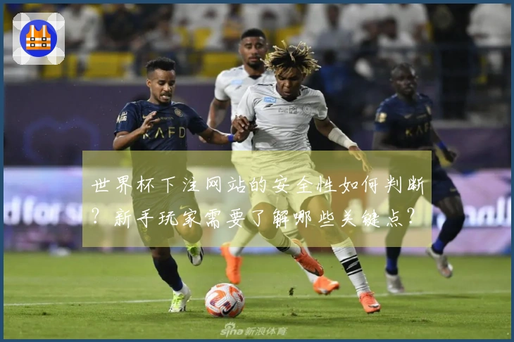 世界杯下注网站的安全性如何判断？新手玩家需要了解哪些关键点？
