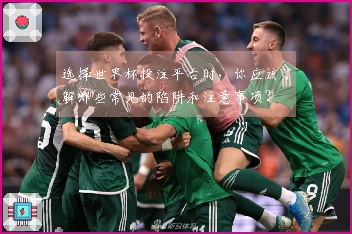 选择世界杯投注平台时，你应该了解哪些常见的陷阱和注意事项？