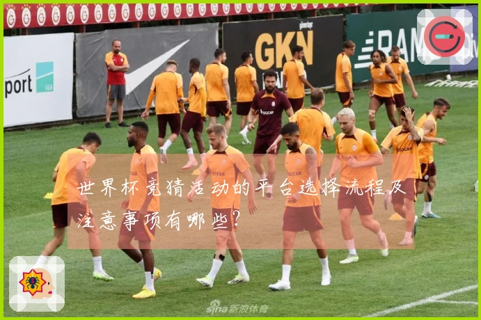 世界杯竞猜活动的平台选择流程及注意事项有哪些？