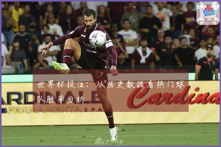 世界杯投注：从历史数据看热门球队胜率分析