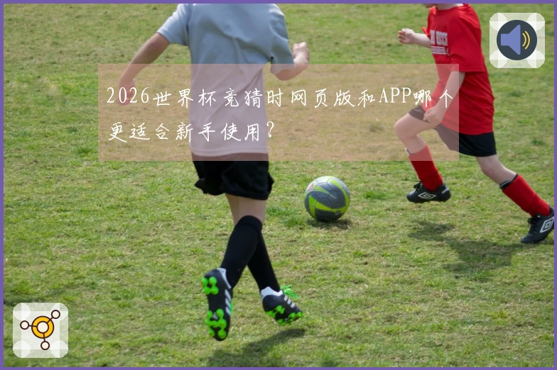 2026世界杯竞猜时网页版和APP哪个更适合新手使用？