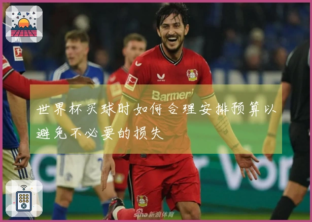 世界杯买球时如何合理安排预算以避免不必要的损失