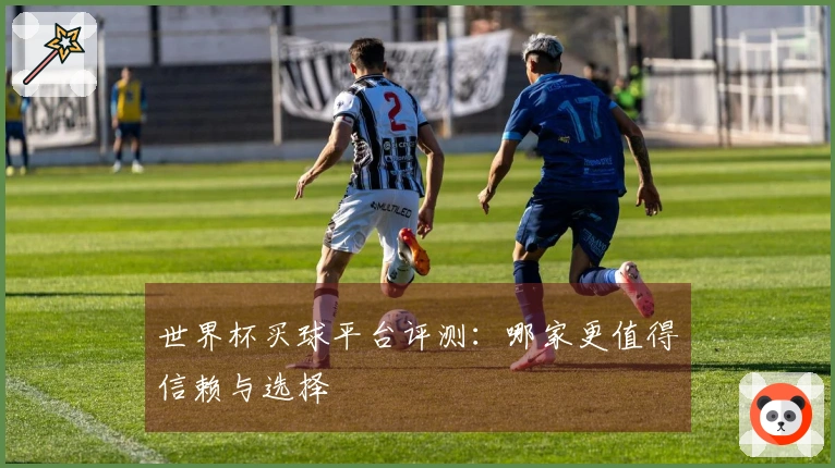 世界杯买球平台评测：哪家更值得信赖与选择