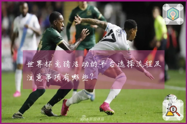 世界杯竞猜活动的平台选择流程及注意事项有哪些？